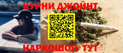 прущие грибы Кандалакша
