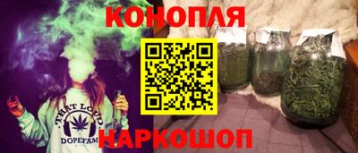 прущие грибы Кандалакша